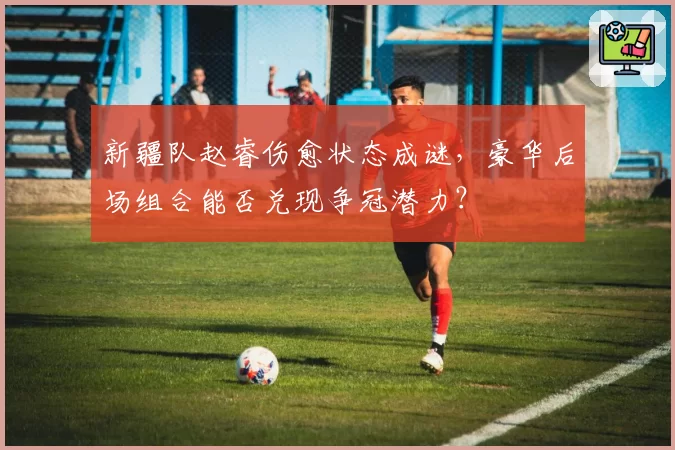 新疆队赵睿伤愈状态成谜，豪华后场组合能否兑现争冠潜力？