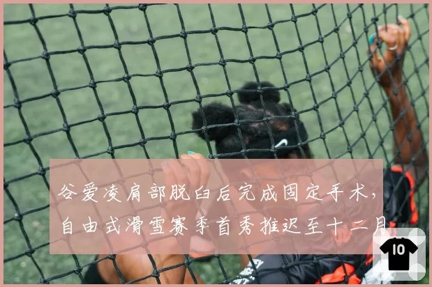 谷爱凌肩部脱臼后完成固定手术,自由式滑雪赛季首秀推迟至十二月