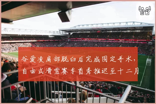 谷爱凌肩部脱臼后完成固定手术,自由式滑雪赛季首秀推迟至十二月