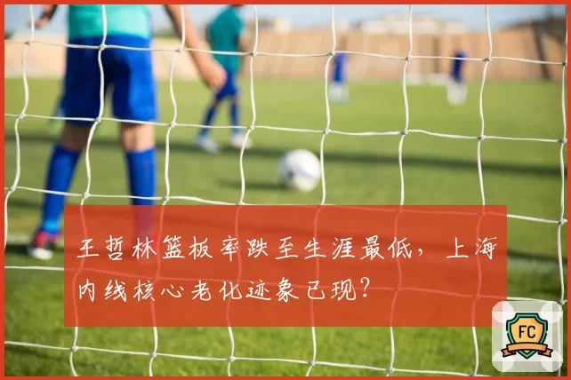 王哲林篮板率跌至生涯最低，上海内线核心老化迹象已现？