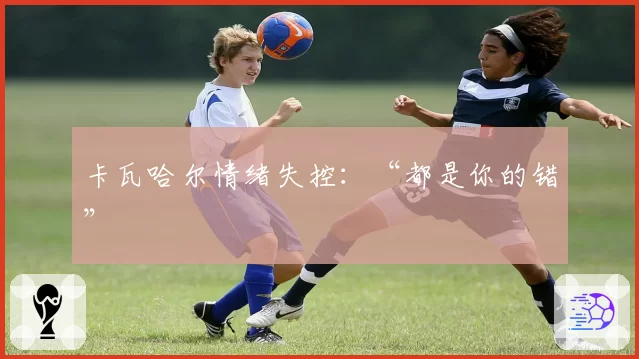 卡瓦哈尔情绪失控：“都是你的错”