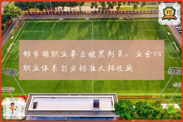 邹市明职业拳击被黑判负，业余vs职业体系打分标准大相径庭