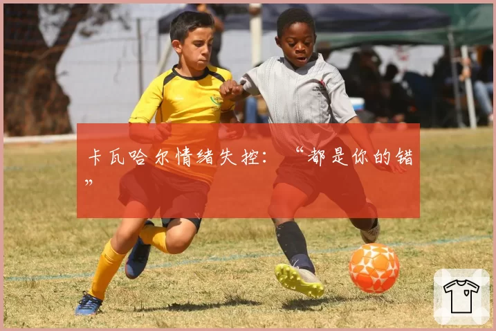 卡瓦哈尔情绪失控：“都是你的错”